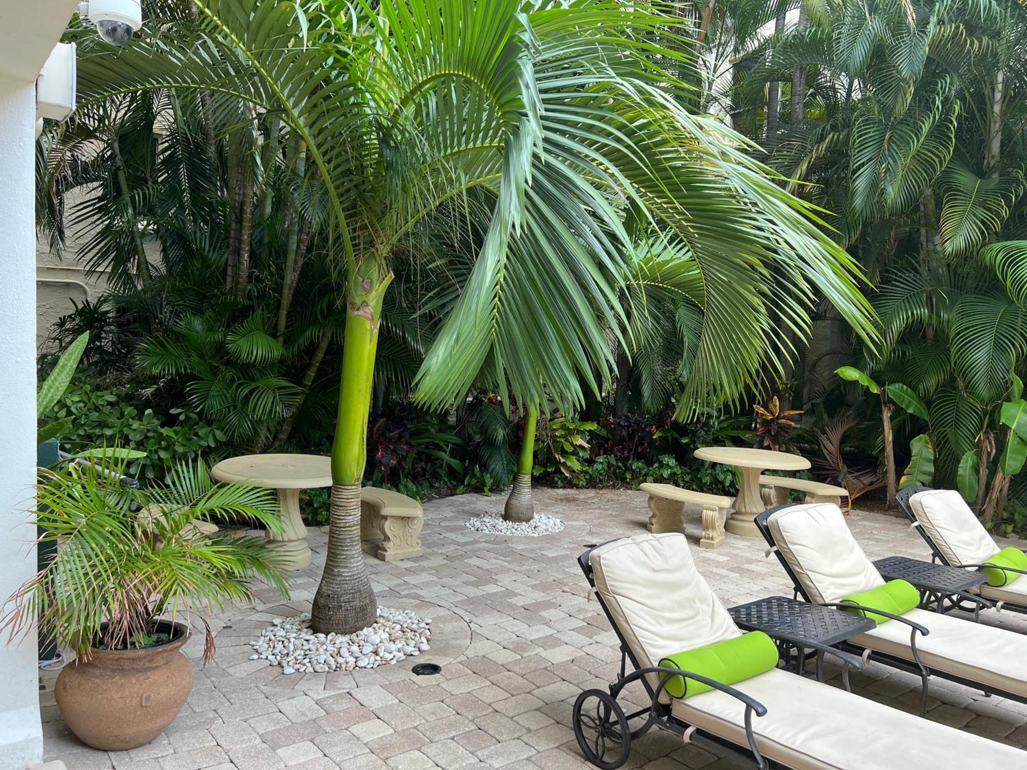 Orchid Suites - Historic Palm Beach Hotel Condominium Dış mekan fotoğraf